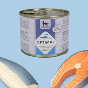 Aliments pour chat Pâtée pour chat au saumon et au hareng