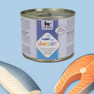 Pâtée pour chaton : quand commencer, quelle dose, quelle recette ? Pâtée pour chaton au saumon et hareng