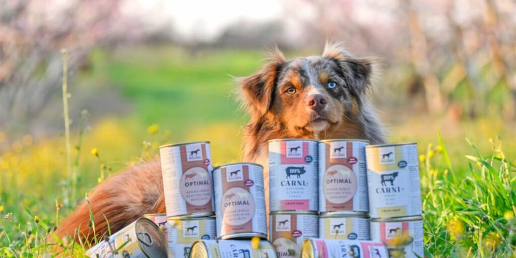 Comment choisir la pâtée pour son animal ?