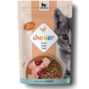 Pâtée pour chaton : quand commencer, quelle dose, quelle recette ? Pâtée pour chaton au poulet en sachet
