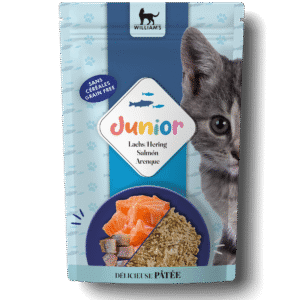 Pâtée pour chaton : quand commencer, quelle dose, quelle recette ? Pâtée pour chaton au saumon et hareng en sachet