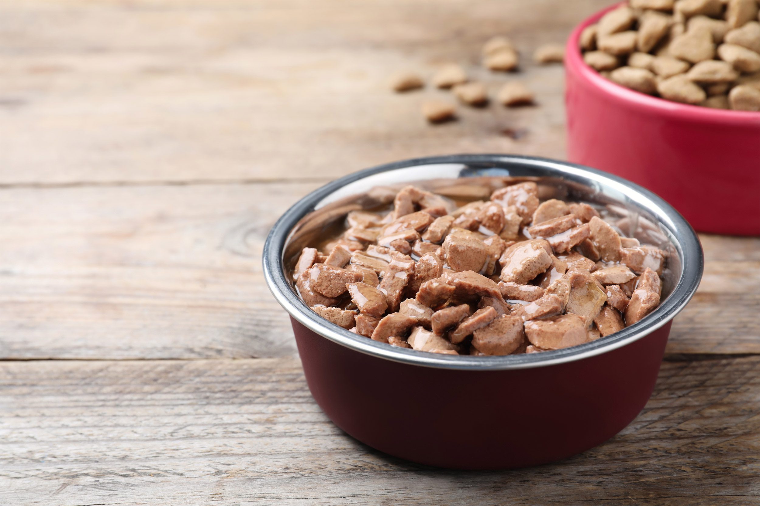 Alimentation instinctive : respecter l’instinct naturel de son chien ou chat alimentation instinctive