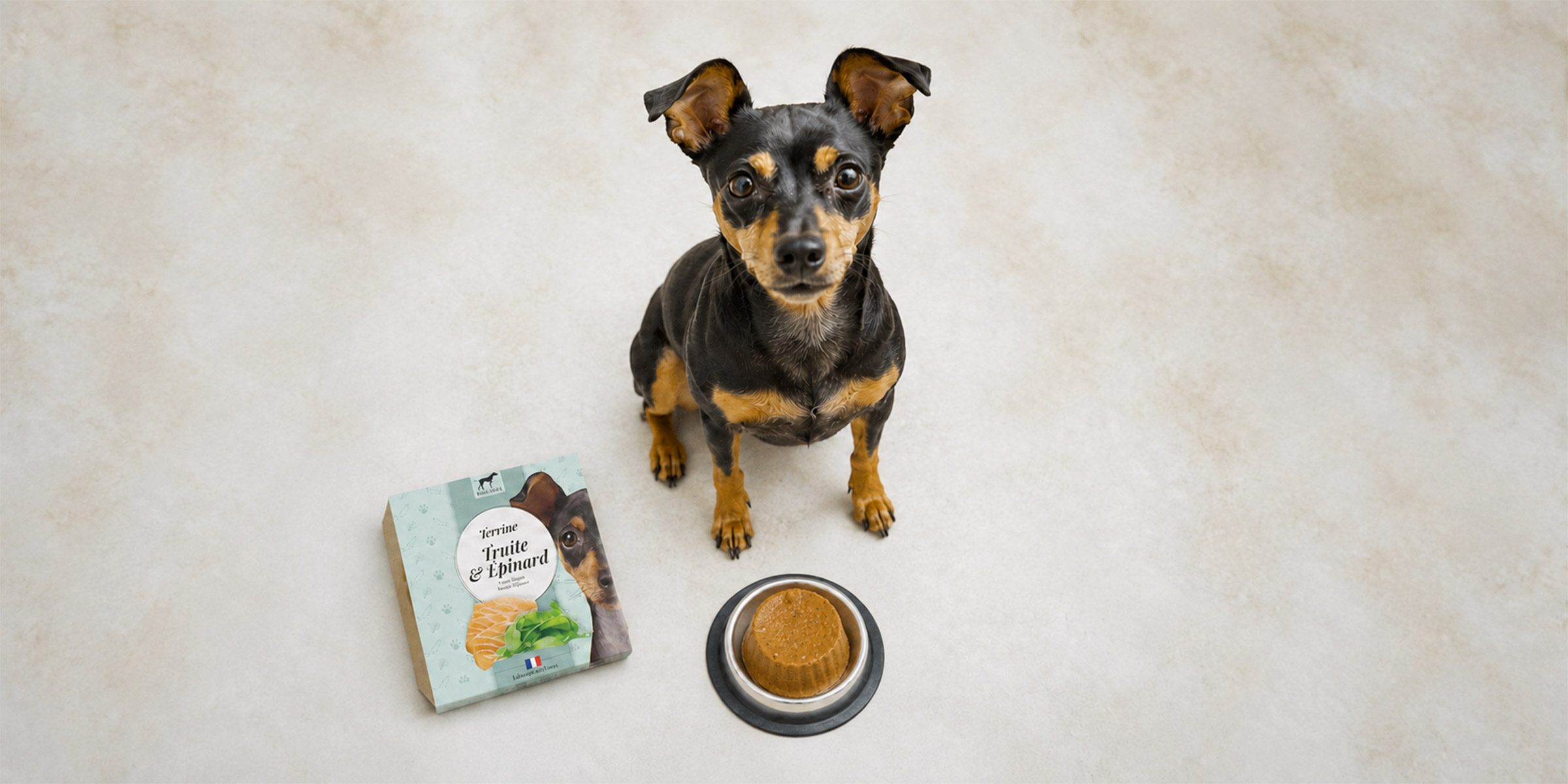 Alimentation premium pour chien et chat Terrine pour chien