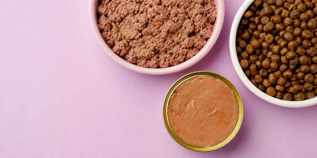 Alimentation premium pour chien et chat pâtée pour chien haut de gamme