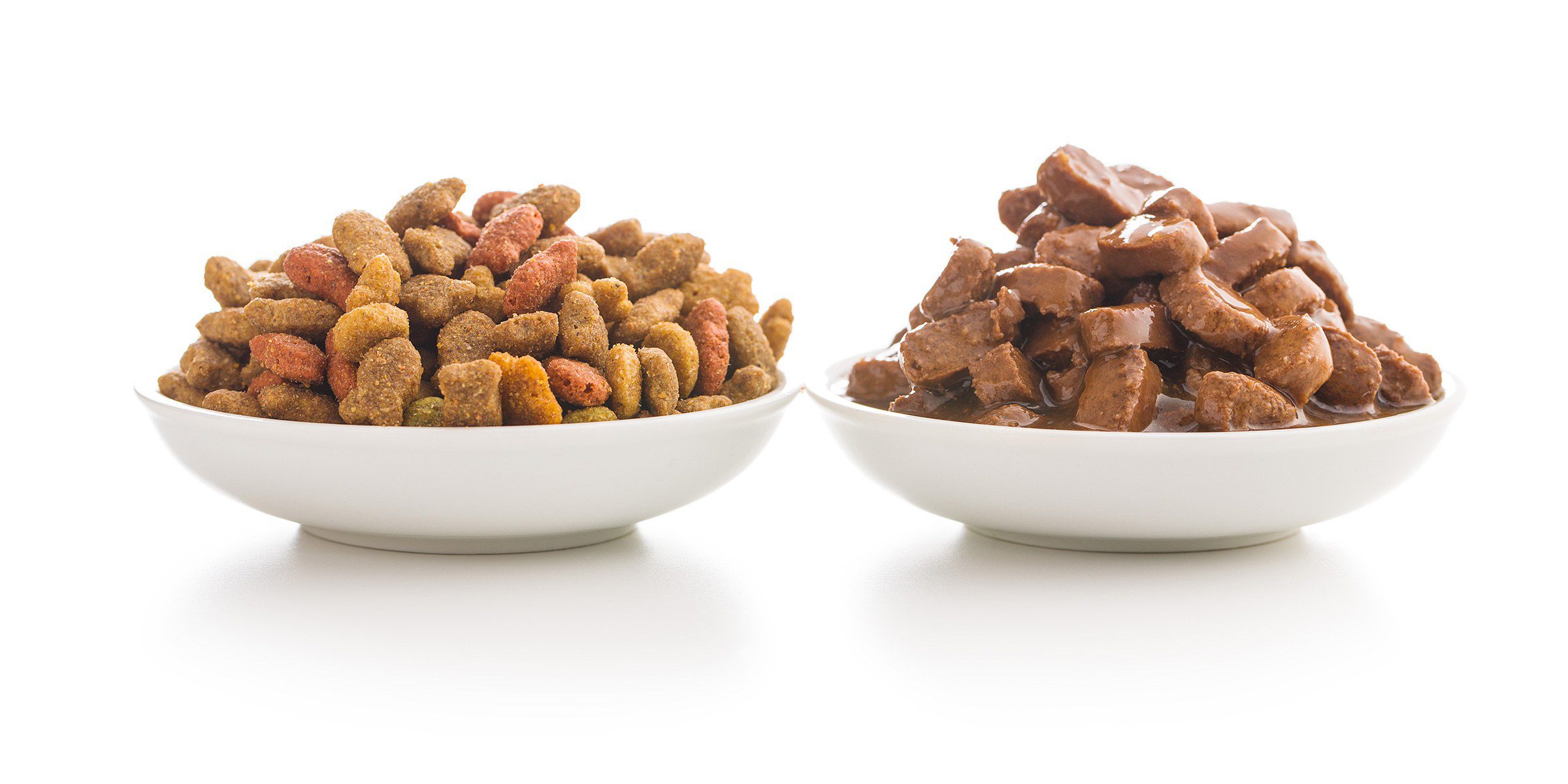 Peut-on mélanger croquettes et pâtée pour chien ? La réponse complète mélanger croquettes pâtée