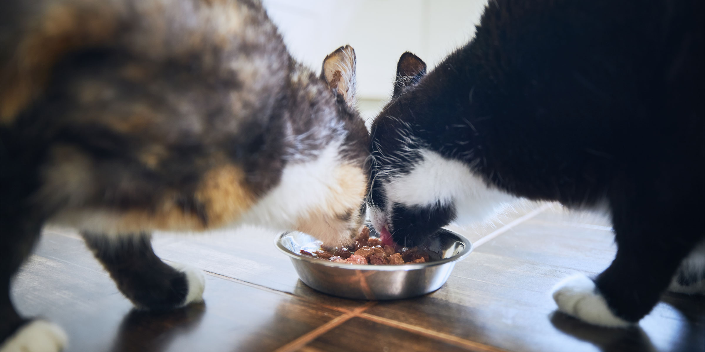 éviter les gloutons