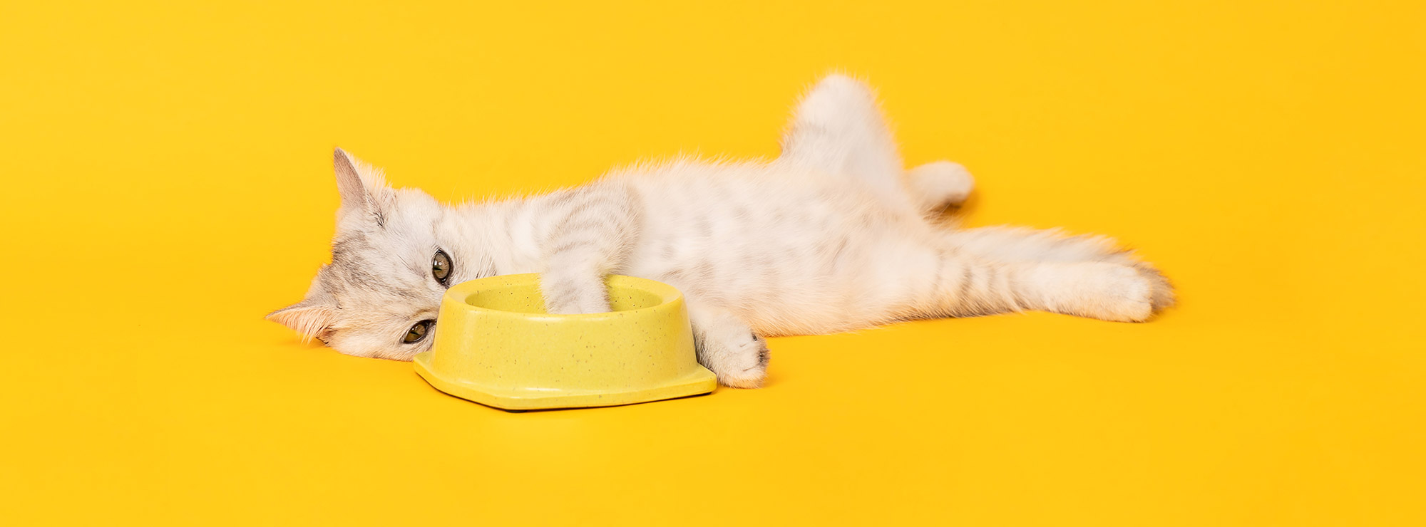 alimentation industrielle