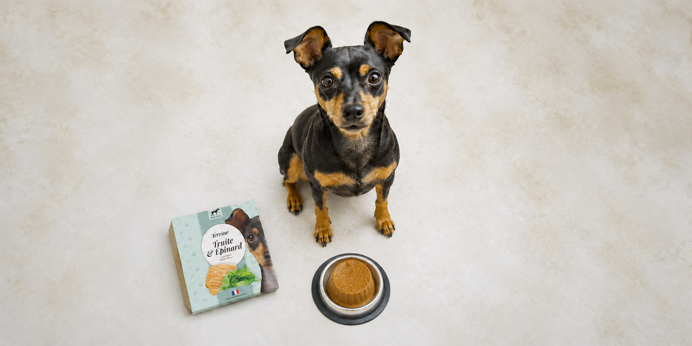 Alimentation pour chiens et chats Terrine pour chien