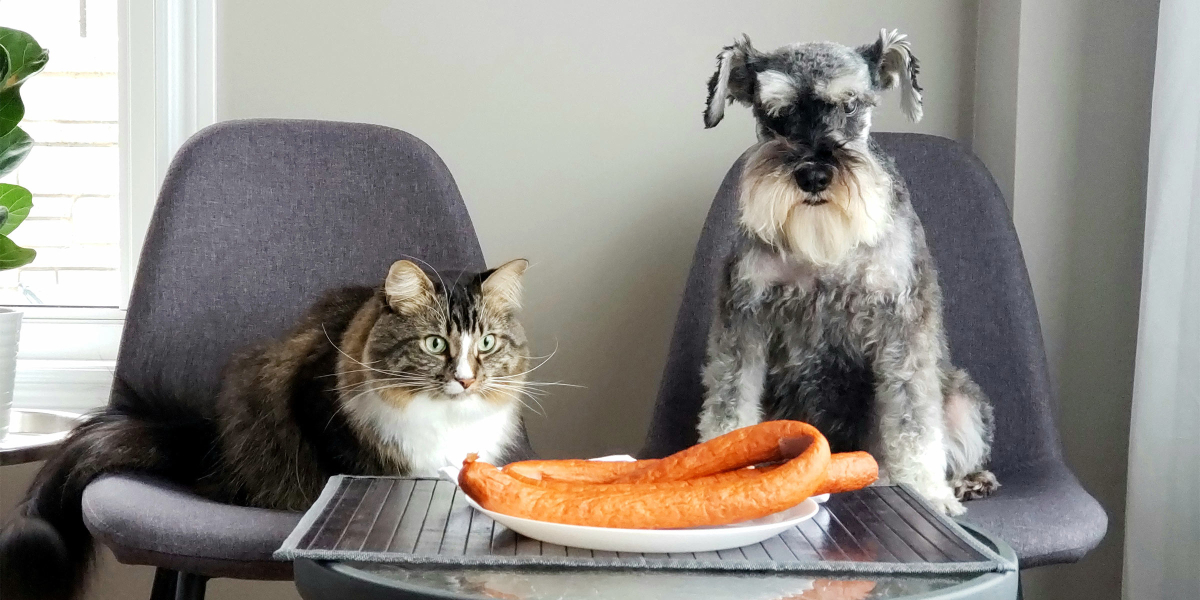 enrichir le moment du repas